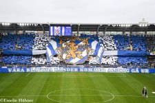 Tifo: "Våra blåvita ränder kommer aldrig gå ur"