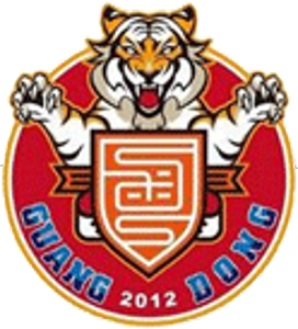 Guangdong Southern Tigers FC