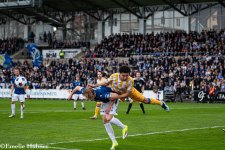 Halmstads BK – IFK Göteborg